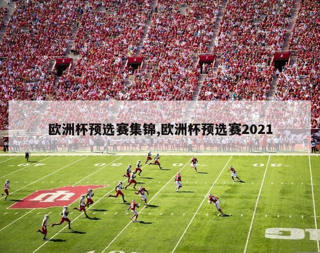 欧洲杯预选赛集锦,欧洲杯预选赛2021