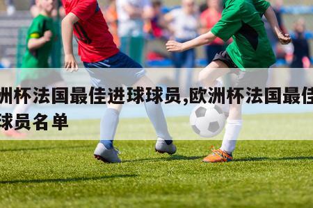 欧洲杯法国最佳进球球员,欧洲杯法国最佳进球球员名单